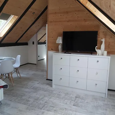Holiday home Domek U Szajnosi *