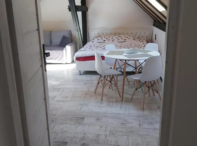 Domek U Szajnosi Σπίτι διακοπών *